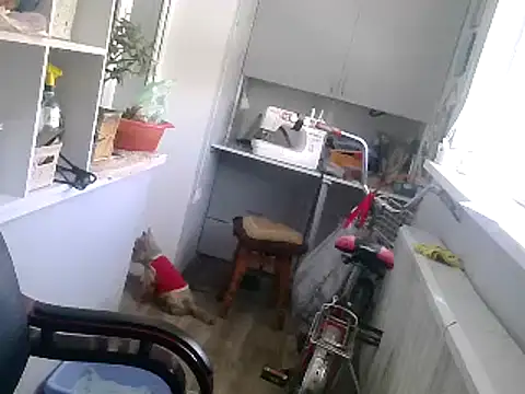 TanyaSweet634 online show from 02.22.25