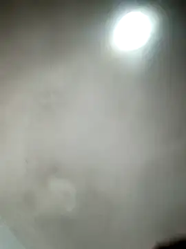  violetta - online show from 03.21.25