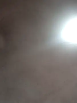  violetta - online show from 10.16.25