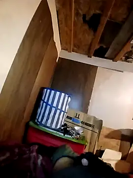 Snapshot of beliqi chatting on 11.15.25 beliqi online show from 11.15.25