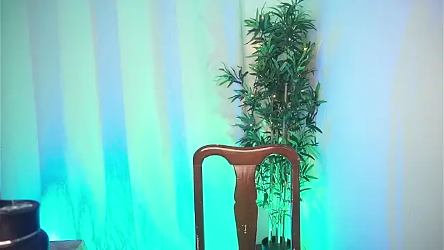 dam0n fr0st online show from 02.04.26