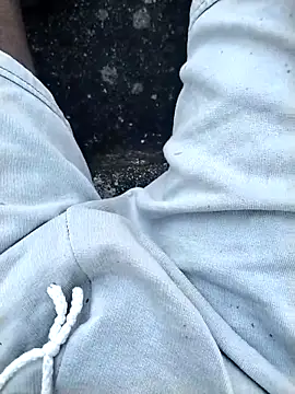 jellydicks online show from 11.16.25