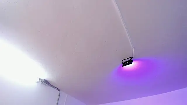 Amy Kiitty  online show from 02.15.26