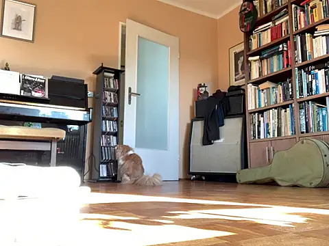 Bula94193 online show from 03.16.26