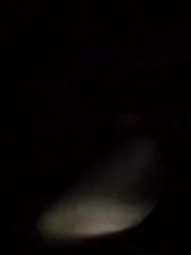 axelongshaft69 online show from 03.09.26