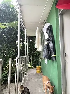 Jestebanano online show from 02.04.26