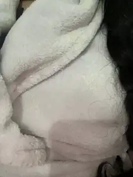 Lina-lolo online show from 12.24.24