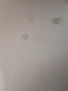 geilerschwanz64 online show from 01.18.25