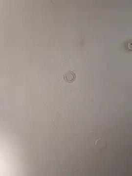 geilerschwanz64 online show from 02.02.25