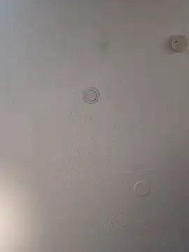 geilerschwanz64 online show from 02.19.25