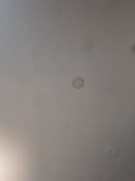 geilerschwanz64 online show from 03.19.25