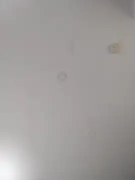 geilerschwanz64 online show from 09.22.25