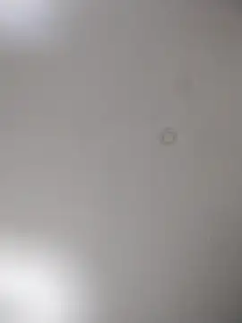 geilerschwanz64 online show from 10.15.25