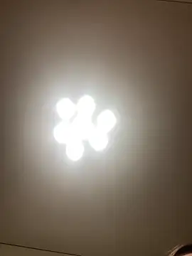 Janet Welder online show from 12.07.24