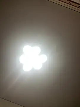 Janet Welder online show from 12.19.24