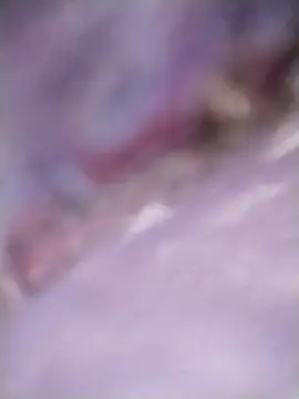 Meri-javani online show from 09.08.25