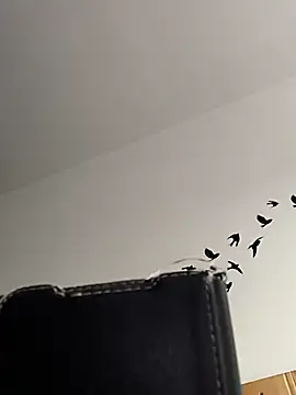 bogland33 online show from 03.05.26