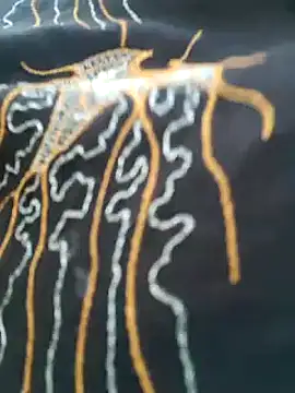 kumaricapalsex2 online show from 02.06.25