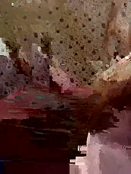 ahross online show from 03.26.26