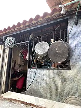 Leo bunny hot online show from 03.07.25