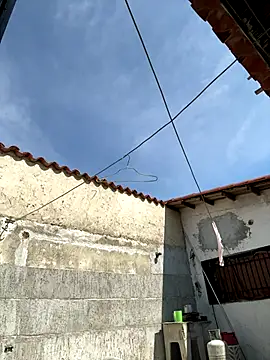 Leo bunny hot online show from 10.02.25