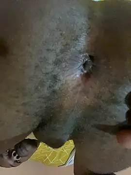 skyfall200 online show from 12.20.24