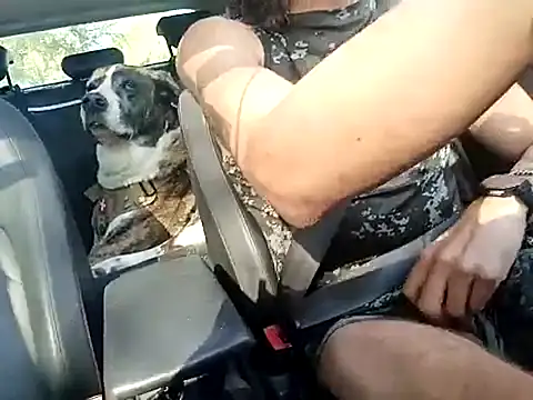 FRANKY nycc1978 online show from 10.10.25