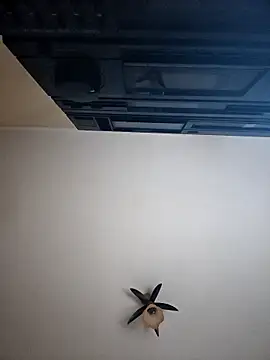 vulpe8400 online show from 04.08.26