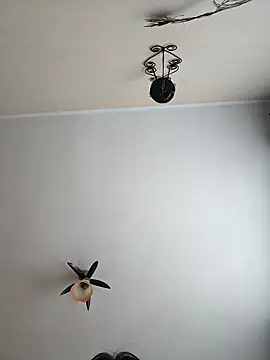 vulpe8400 online show from 04.18.26