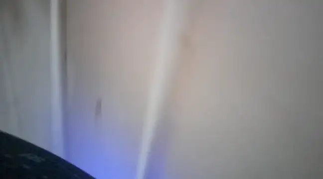 elcobin online show from 03.16.25