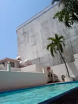 elcobin online show from 03.20.25