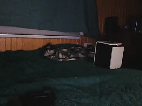 Thenicecook online show from 10.23.25