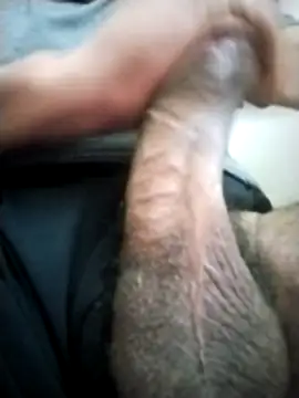 afeshakhak online show from 02.13.26