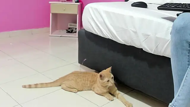  candy jade  online show from 01.15.26