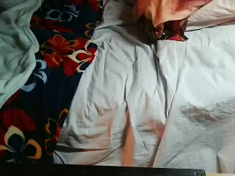 VeneRed online show from 04.18.26