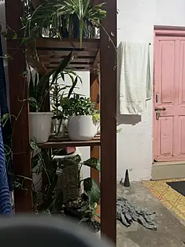 alburt 1996 online show from 01.16.25