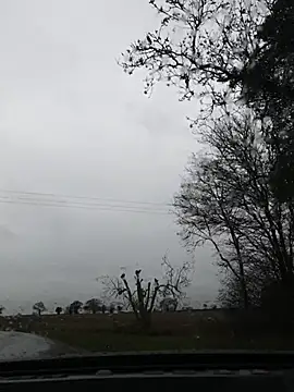 Snapshot of nataliecdlive chatting on 11.22.25 nataliecdlive online show from 11.22.25