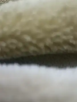 Anamika Kapoor online show from 12.19.25