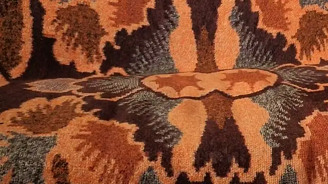 Snapshot of loverboyxxx69 chatting on 02.09.26 loverboyxxx69 online show from 02.09.26