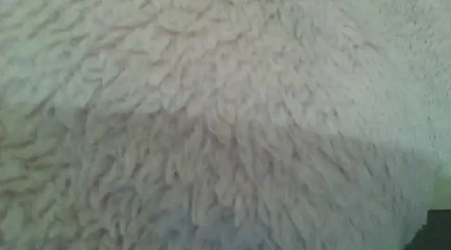 Snapshot of samanta0033 chatting on 12.02.24 samanta0033 online show from 12.02.24