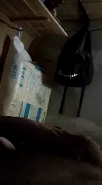 Snapshot of cockringkelley97 chatting on 12.01.24 cockringkelley97 online show from 12.01.24