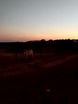 Leocesar37 online show from 09.14.25