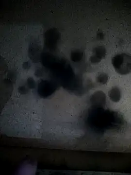 Leocesar37 online show from 04.13.26