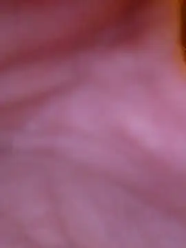 Freddyking146f online show from 11.30.25