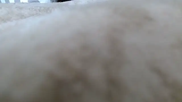 Snapshot of Heracles00 chatting on 10.13.25 Heracles00 online show from 10.13.25