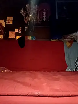 justiacoob online show from 11.19.25