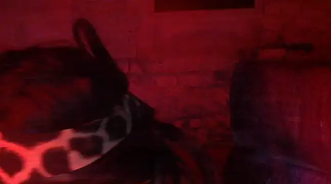 iva spirit online show from 02.09.25