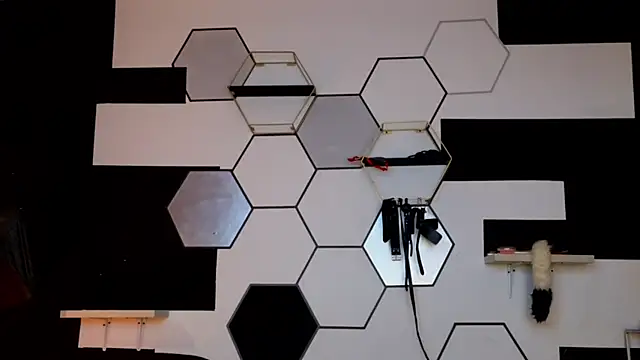 haileycat online show from 02.14.25