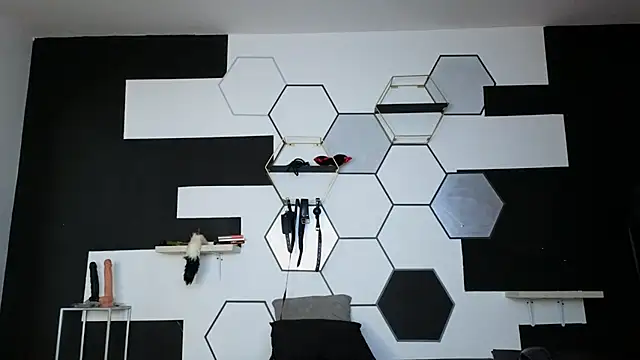 haileycat online show from 02.15.25