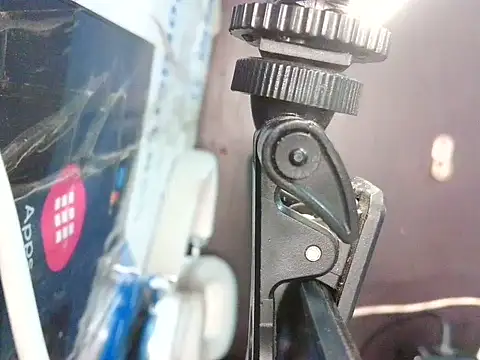 bellacrespalatina online show from 04.22.26